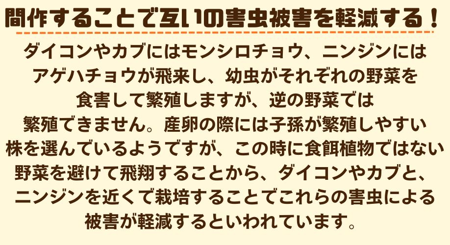 説明4