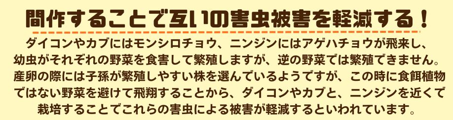 説明4