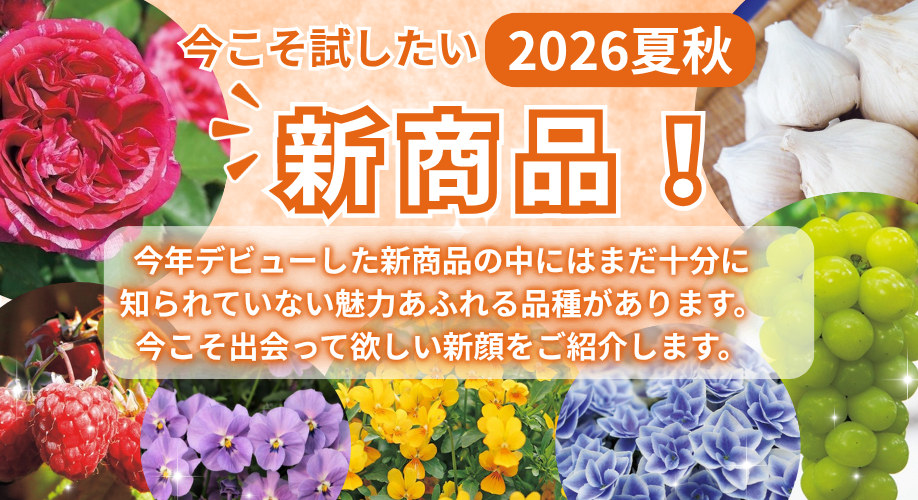 26夏秋新商品