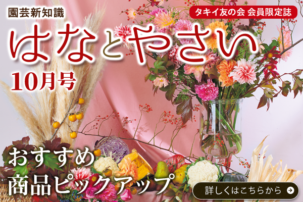 はなとやさい10月号おすすめ商品ラインナップ
