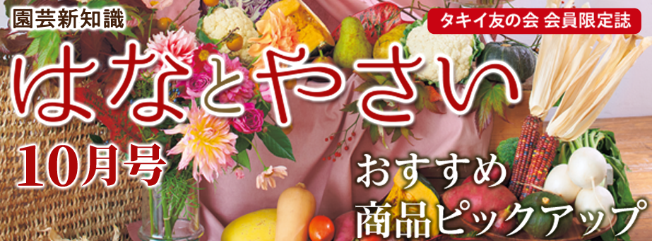 ■月刊誌の特集