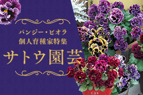 サトウ園芸