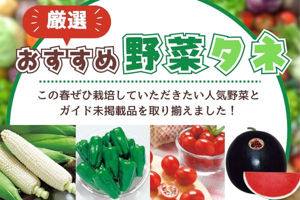 厳選おすすめ野菜タネ