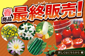 最終販売