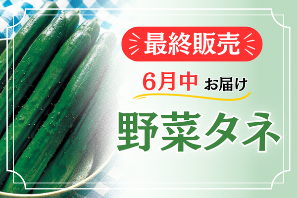 最終販売【野菜タネ】