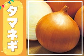 タマネギ