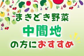 中間地の方におすすめ