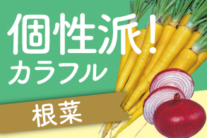 個性派!カラフル根菜