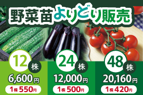 野菜苗よりどり