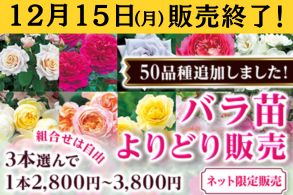 バラよりどり