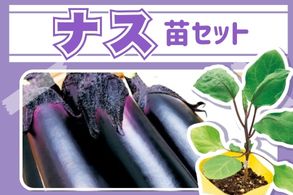 【ナス】