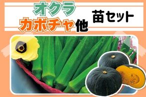 【オクラ・カボチャ】