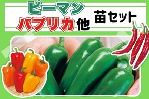 【ピーマン・パプリカ他】