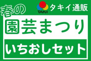 園芸まつり