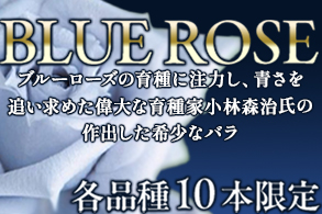 【各10本限定】ブルーローズ