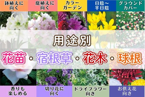 用途別花苗･宿根草･花木・球根