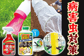 病害虫対策