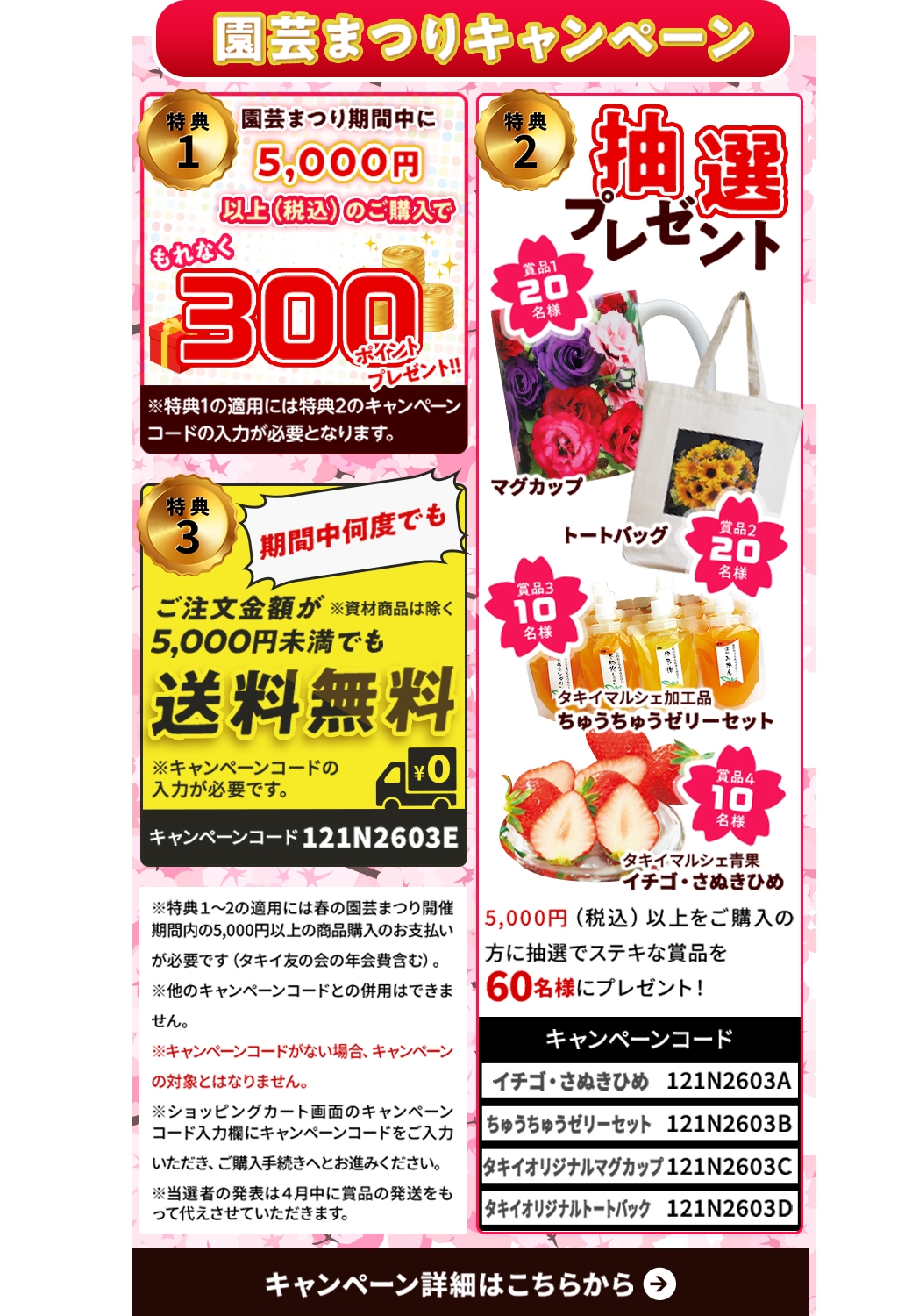 抽選プレゼント