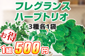 フレグランスハーブトリオ