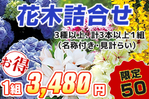花木詰合せ（3種以上）