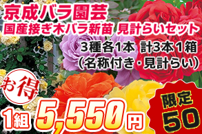 京成バラ園芸国産接ぎ木新苗見計らいセット
