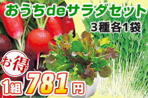 おうちdeサラダセット