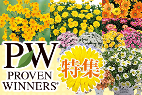 PW大特集【26春】