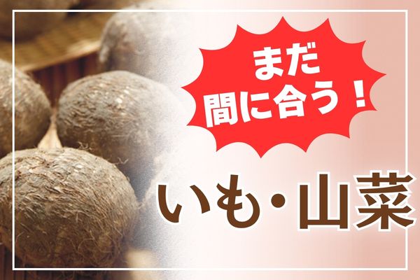 【まだ間に合う！】いも・山菜