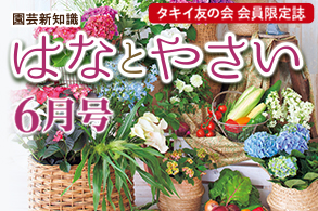 月刊誌特集