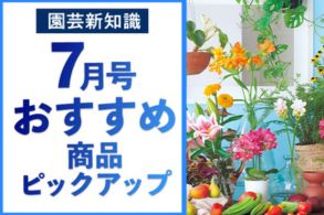 月刊誌特集