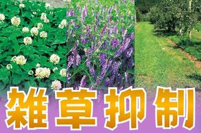 雑草抑制