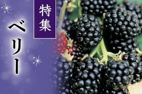 ベリー類