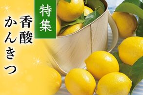 香酸かんきつ