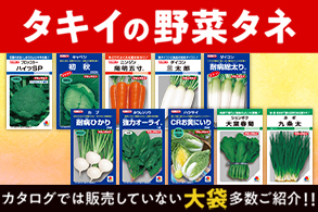 野菜タネ大袋