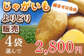 じゃがいもよりどり販売