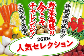 人気セレクション