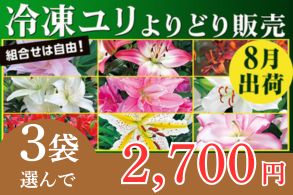 冷凍百合よりどり販売