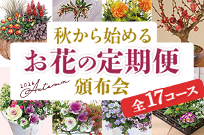 秋の花の頒布会