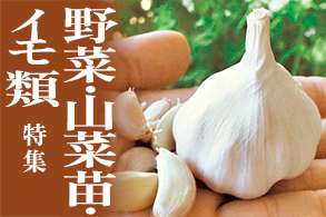 野菜苗･イモ類特集から選ぶ