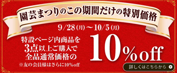 10%off