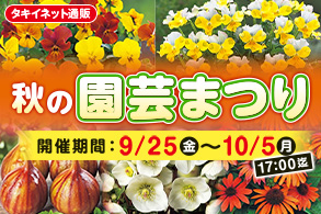 秋の園芸まつり