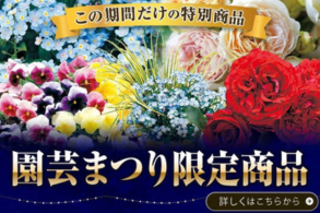 園芸まつり特別商品