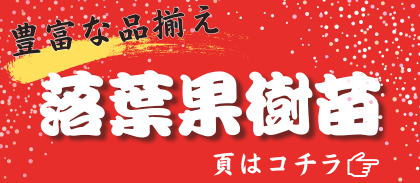 落葉果樹苗
