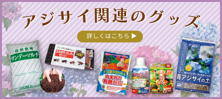 アジサイ関連の資材はこちら