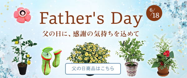 父の日の購入はこちら
