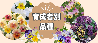 【育成者別商品】