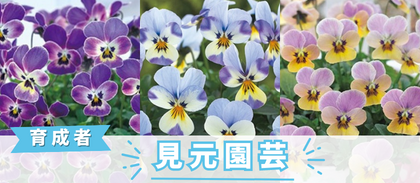 【見元園芸】