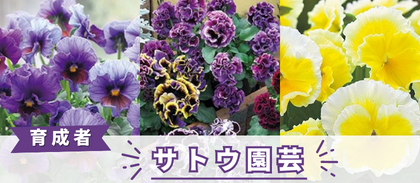 【サトウ園芸】