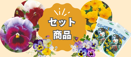 【セット商品】