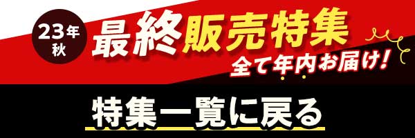 最終販売一覧に戻る